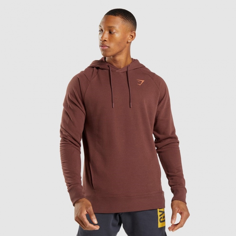 Sudadera con Capucha Gymshark Bold Marrones | 93JKSDFTR