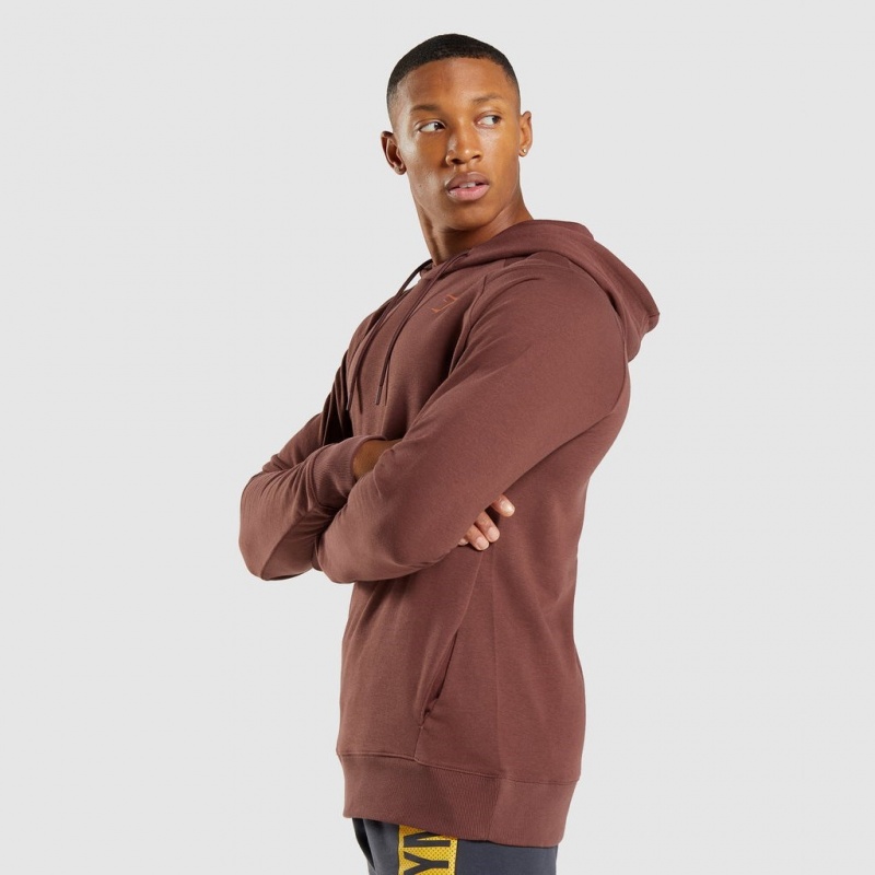 Sudadera con Capucha Gymshark Bold Marrones | 93JKSDFTR