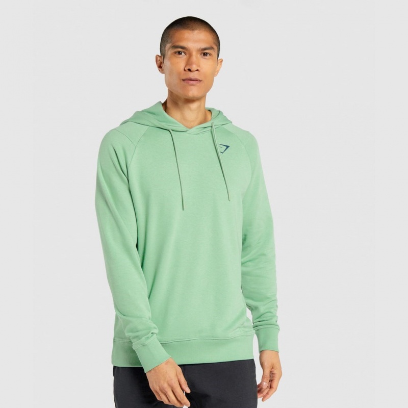 Sudadera con Capucha Gymshark Bold Verde | 30MHXVFGL