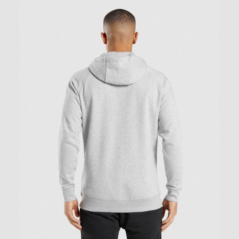 Sudadera con Capucha Gymshark Crest Gris Claro | 18IYNMWJO