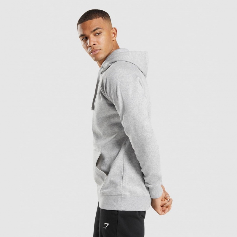 Sudadera con Capucha Gymshark Crest Gris Claro | 18IYNMWJO