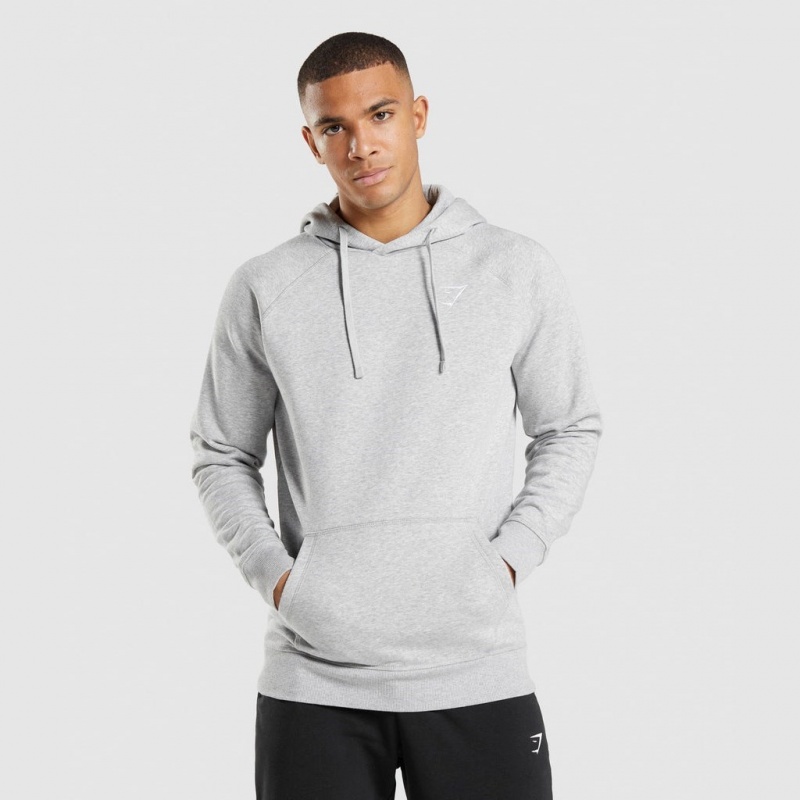 Sudadera con Capucha Gymshark Crest Gris Claro | 18IYNMWJO