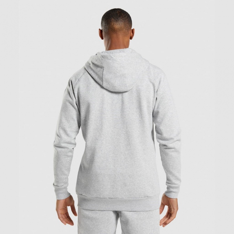 Sudadera con Capucha Gymshark Crest Zip Up Gris Claro | 08XHZJQAS