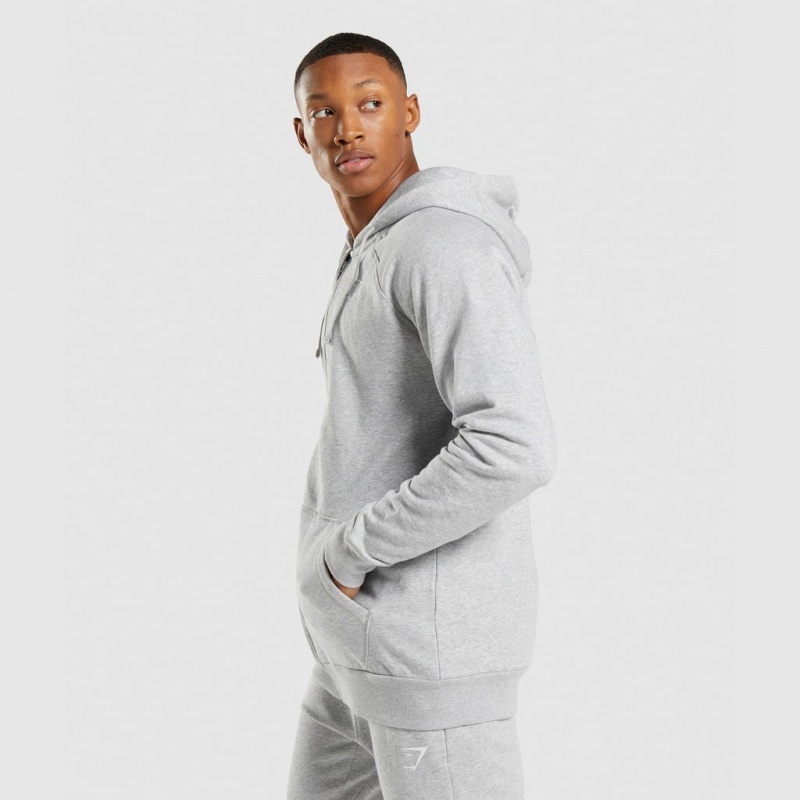 Sudadera con Capucha Gymshark Crest Zip Up Gris Claro | 08XHZJQAS