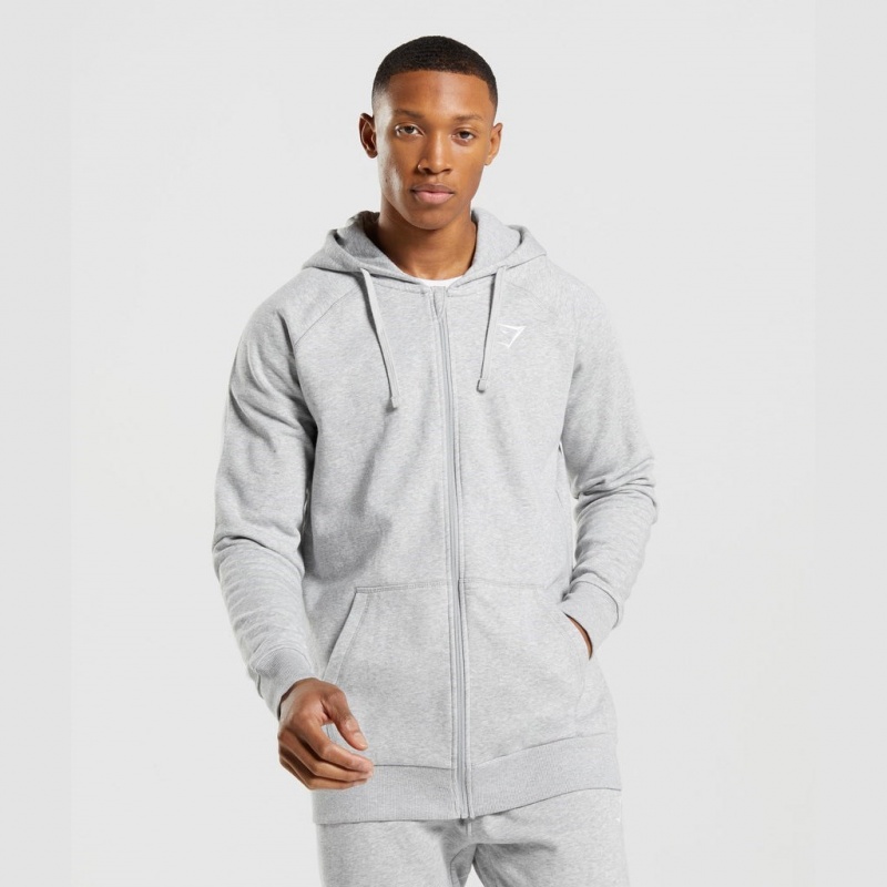 Sudadera con Capucha Gymshark Crest Zip Up Gris Claro | 08XHZJQAS