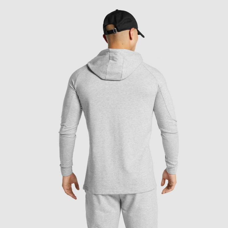 Sudadera con Capucha Gymshark Critical 2.0 Gris Claro | 62NGKBLMU