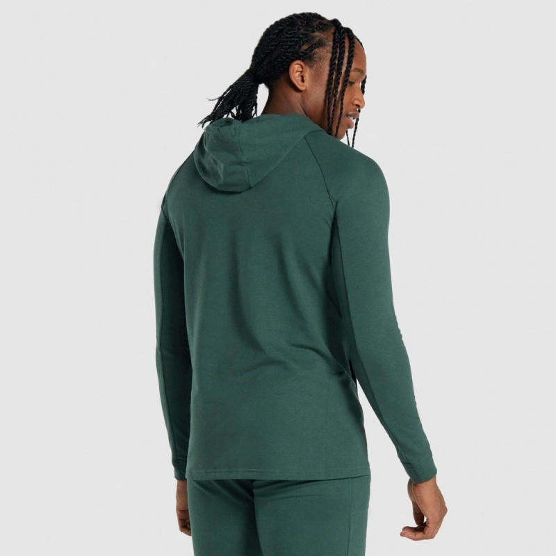 Sudadera con Capucha Gymshark Critical 2.0 Verde Oscuro | 89NEGVBWH