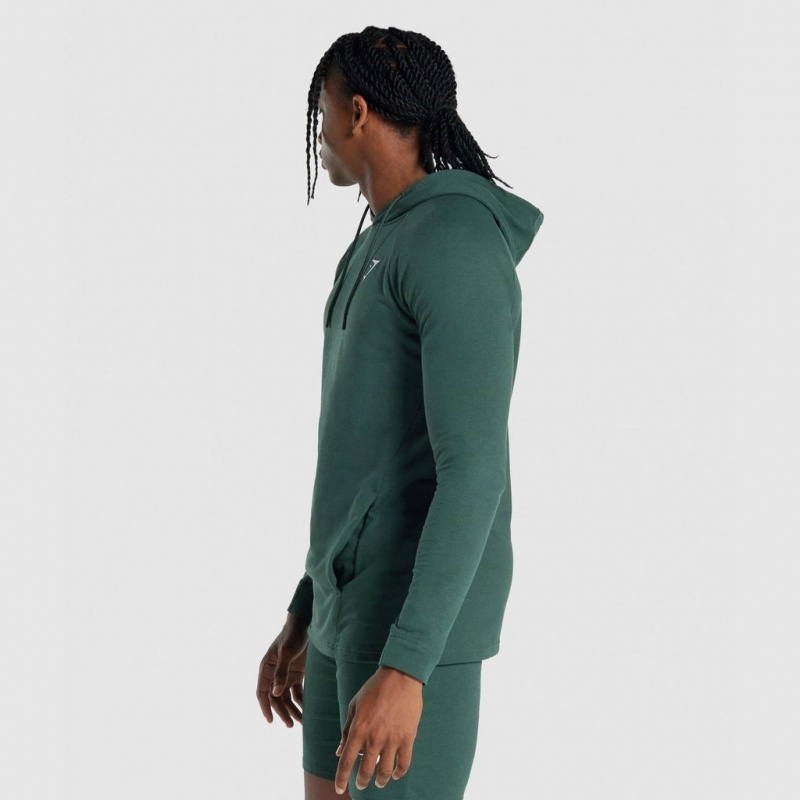 Sudadera con Capucha Gymshark Critical 2.0 Verde Oscuro | 89NEGVBWH