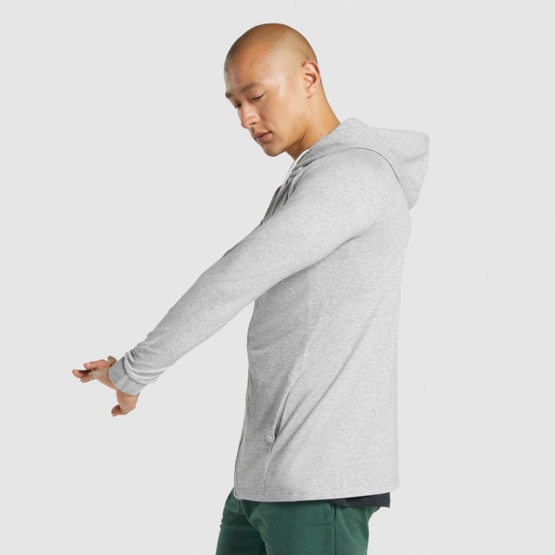 Sudadera con Capucha Gymshark Critical 2.0 Zip Up Gris Claro | 13JWDBGYO