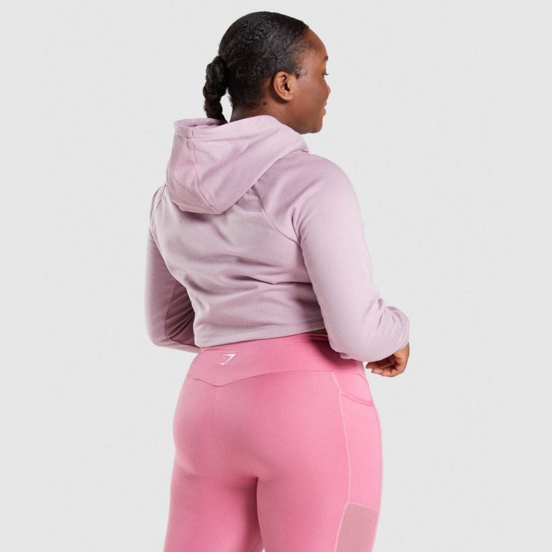 Sudadera con Capucha Gymshark Entrenamiento Cropped Moradas Claro | 93VAHBTFM