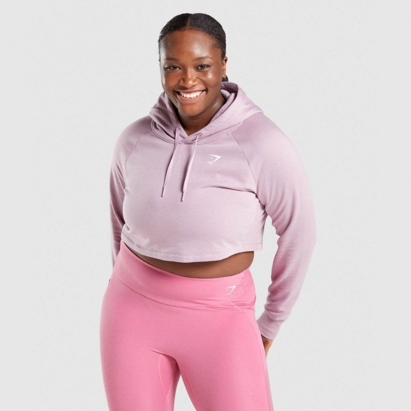Sudadera con Capucha Gymshark Entrenamiento Cropped Moradas Claro | 93VAHBTFM