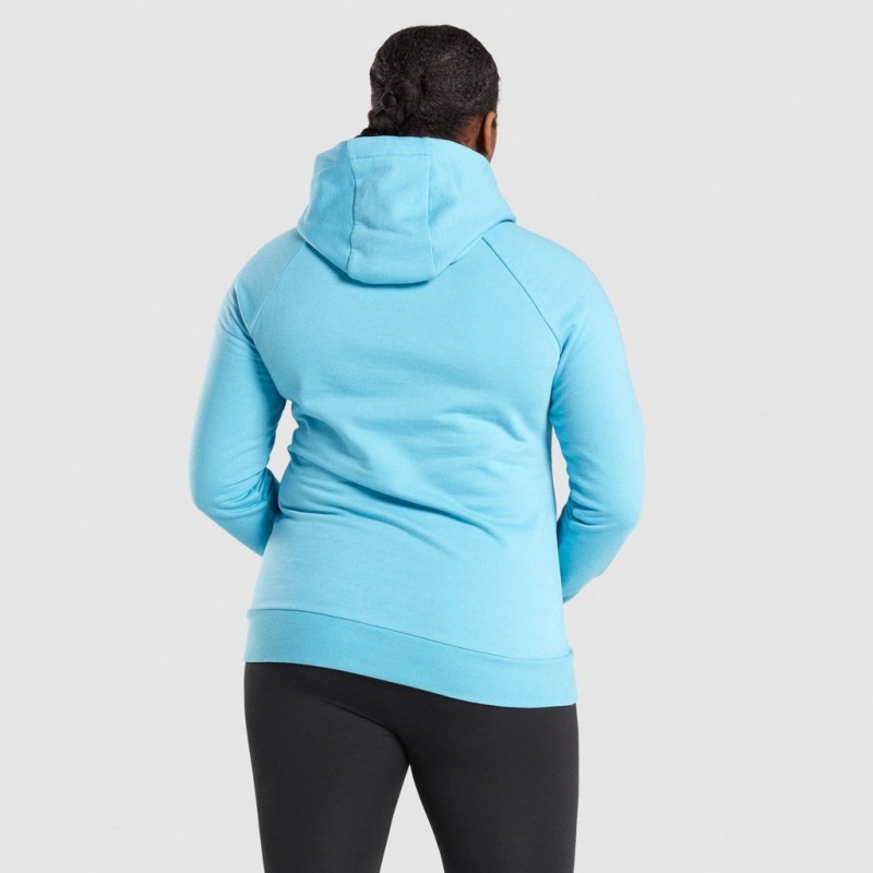 Sudadera con Capucha Gymshark Entrenamiento Azules Claro | 57SGLXZAE