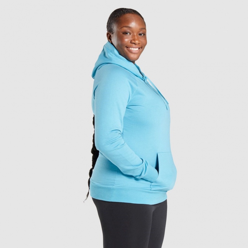 Sudadera con Capucha Gymshark Entrenamiento Azules Claro | 57SGLXZAE