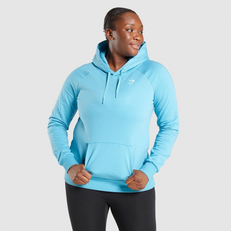 Sudadera con Capucha Gymshark Entrenamiento Azules Claro | 57SGLXZAE