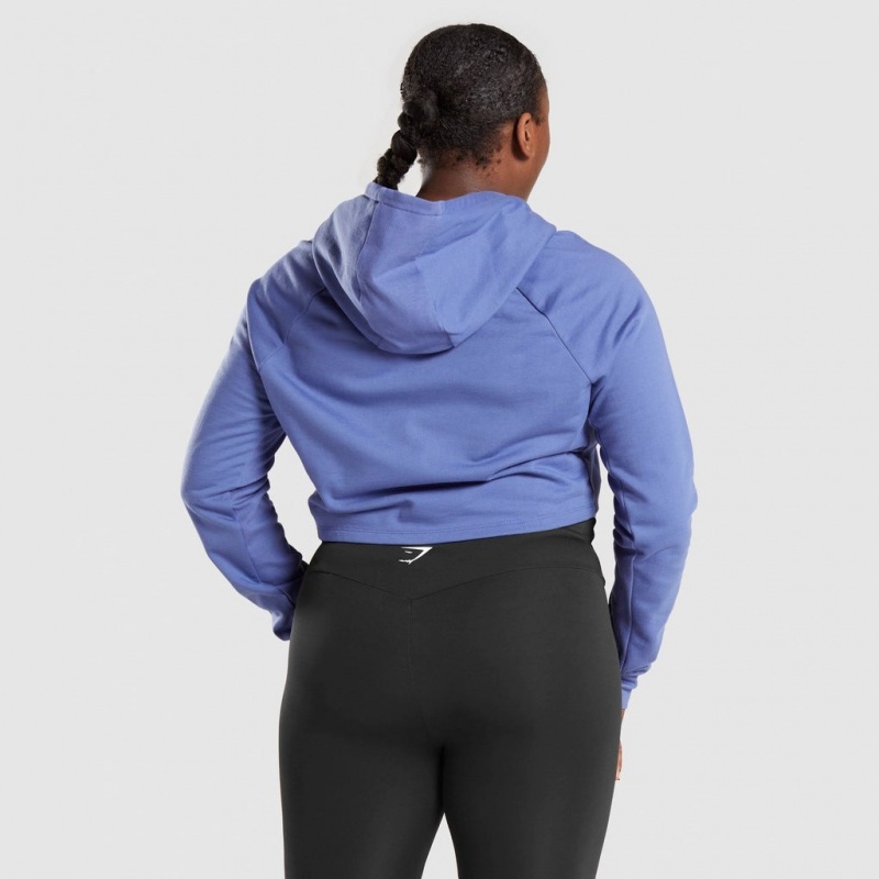 Sudadera con Capucha Gymshark Entrenamiento Cropped Azules | 97UABSYKM