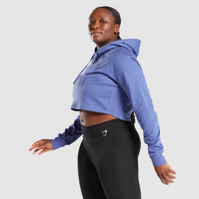 Sudadera con Capucha Gymshark Entrenamiento Cropped Azules | 97UABSYKM