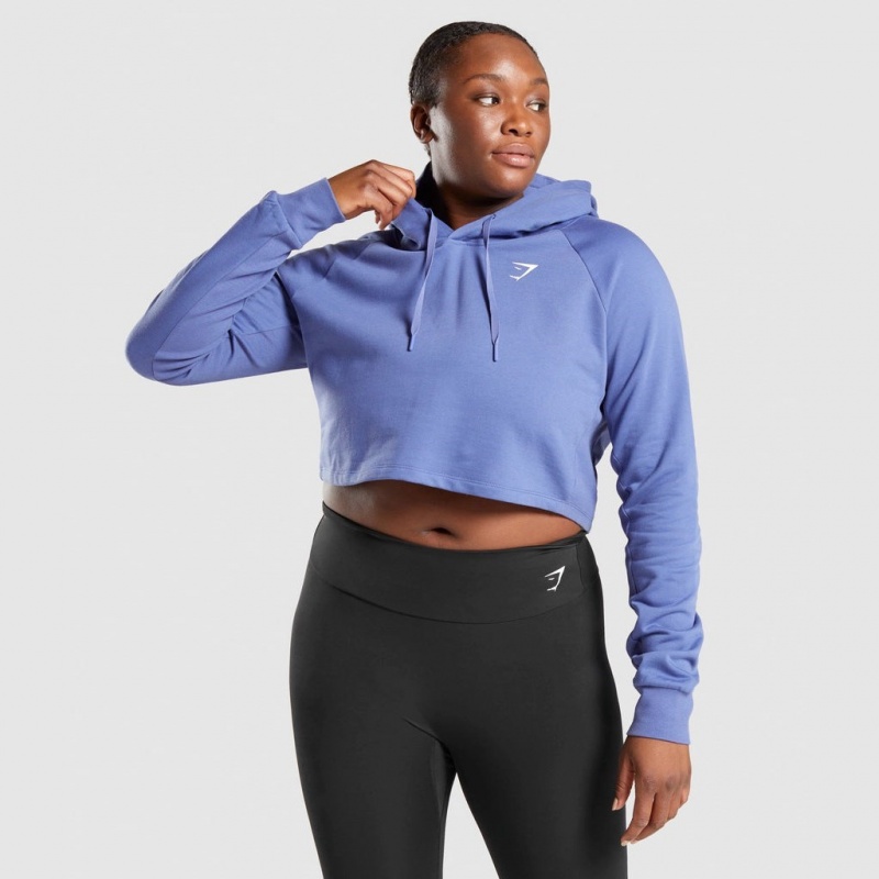 Sudadera con Capucha Gymshark Entrenamiento Cropped Azules | 97UABSYKM