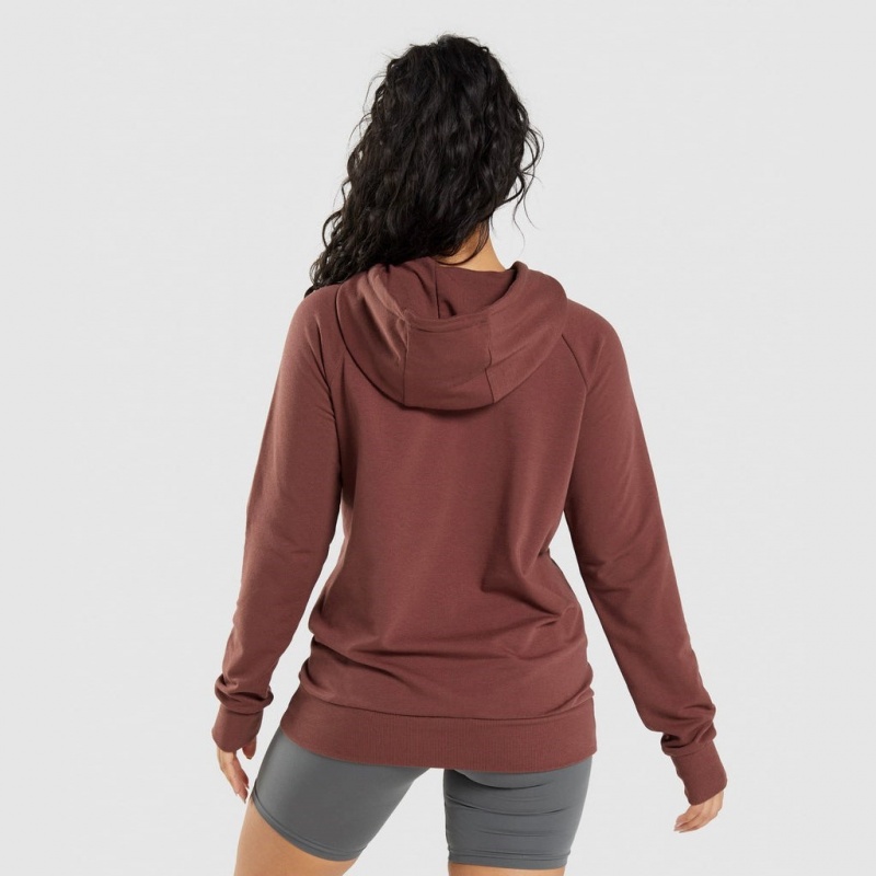 Sudadera con Capucha Gymshark Entrenamiento Marrones | 90BLVEJOG