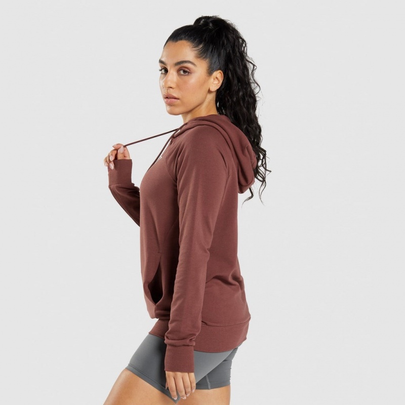 Sudadera con Capucha Gymshark Entrenamiento Marrones | 90BLVEJOG