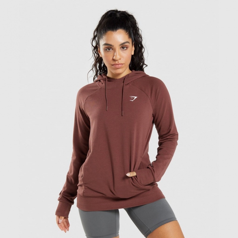 Sudadera con Capucha Gymshark Entrenamiento Marrones | 90BLVEJOG