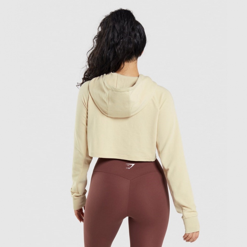 Sudadera con Capucha Gymshark Entrenamiento Cropped Marrones | 05SENBMVT