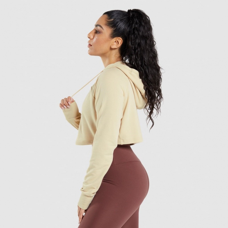 Sudadera con Capucha Gymshark Entrenamiento Cropped Marrones | 05SENBMVT