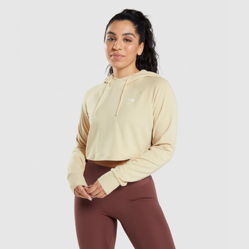 Sudadera con Capucha Gymshark Entrenamiento Cropped Marrones | 05SENBMVT