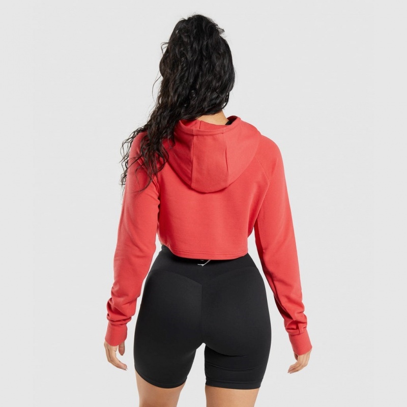 Sudadera con Capucha Gymshark Entrenamiento Cropped Rojas | 80SZHJRGL