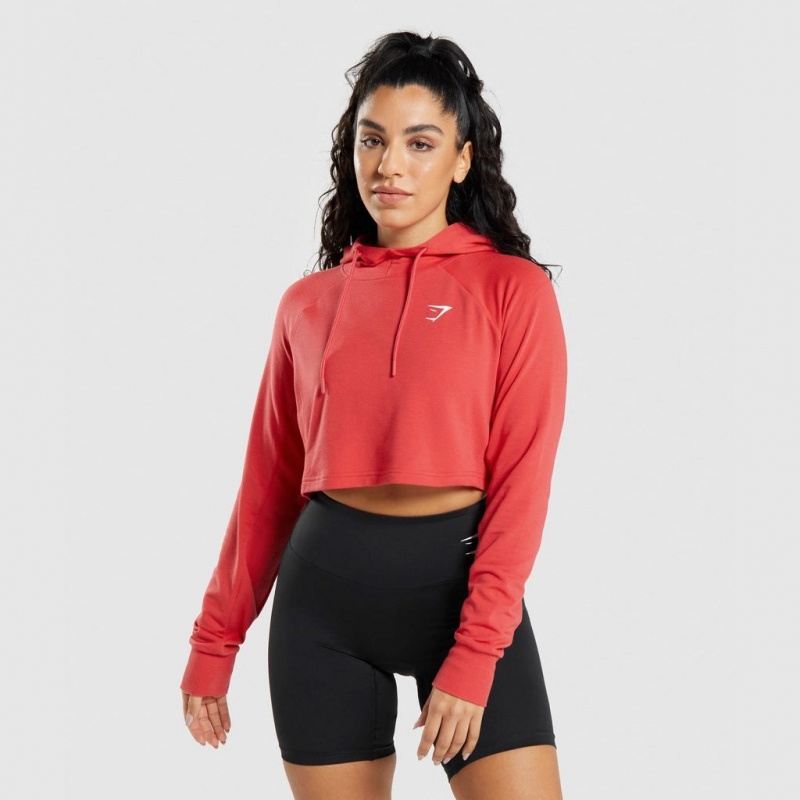 Sudadera con Capucha Gymshark Entrenamiento Cropped Rojas | 80SZHJRGL