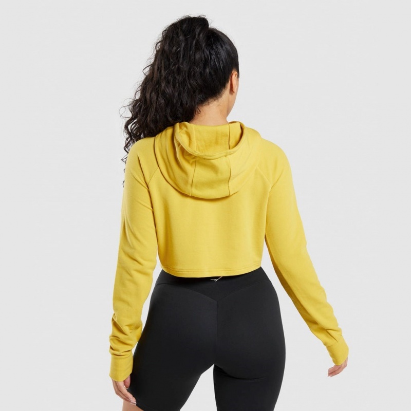 Sudadera con Capucha Gymshark Entrenamiento Cropped Amarillo | 23LCXTGIA