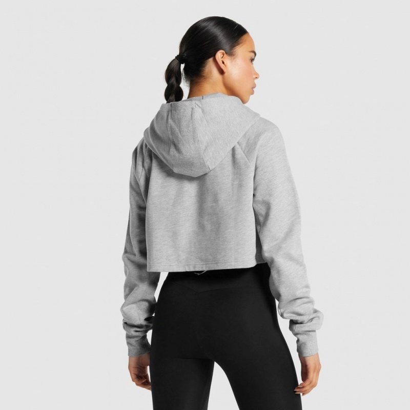 Sudadera con Capucha Gymshark Entrenamiento Cropped Gris Claro | 21NBMWDIH
