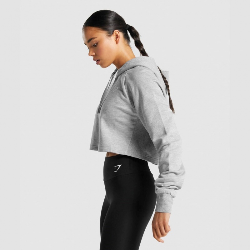 Sudadera con Capucha Gymshark Entrenamiento Cropped Gris Claro | 21NBMWDIH