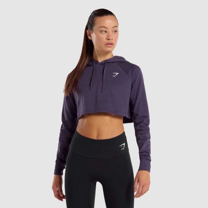 Sudadera con Capucha Gymshark Entrenamiento Cropped Moradas | 20PWXRDKG