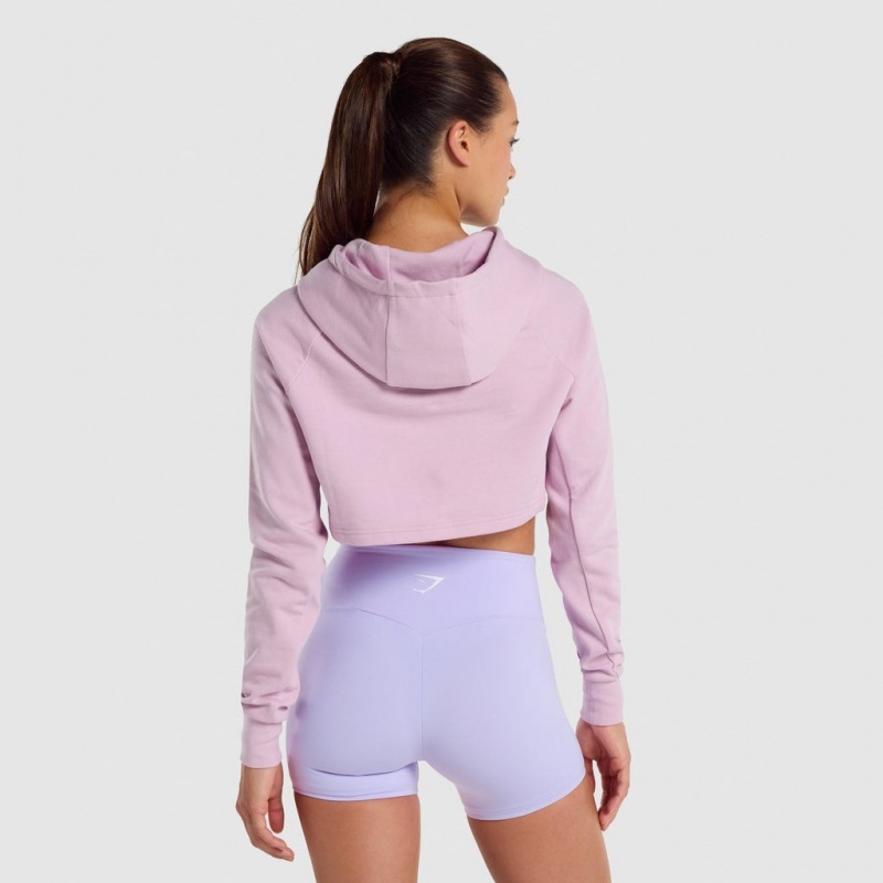 Sudadera con Capucha Gymshark Entrenamiento Cropped Rosas Claro | 06AUDRZYM