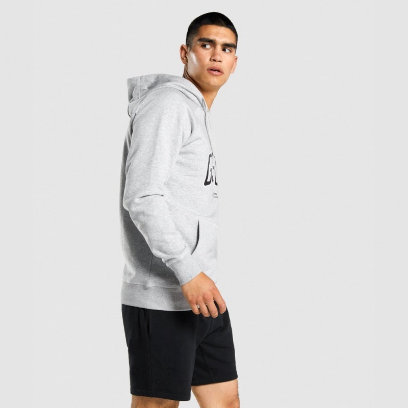 Sudadera con Capucha Gymshark GSLC Collegiate Gris Claro | 37DJANUXE