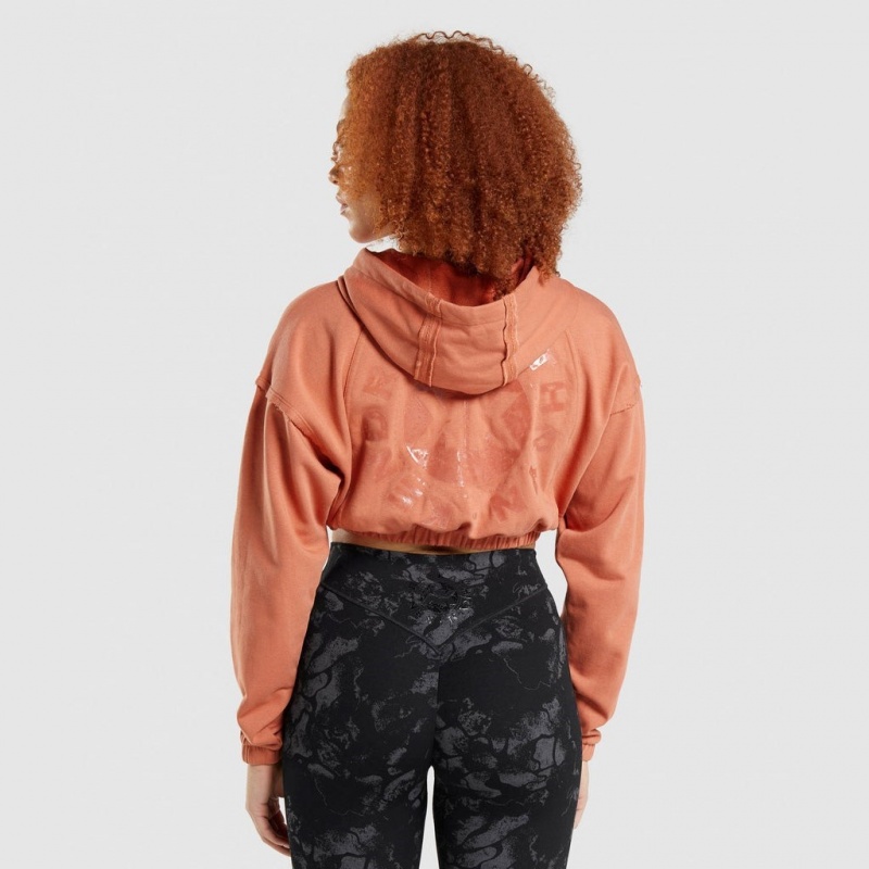 Sudadera con Capucha Gymshark KK Fit Zip-Up Cropped Naranjas | 76QGAHITJ