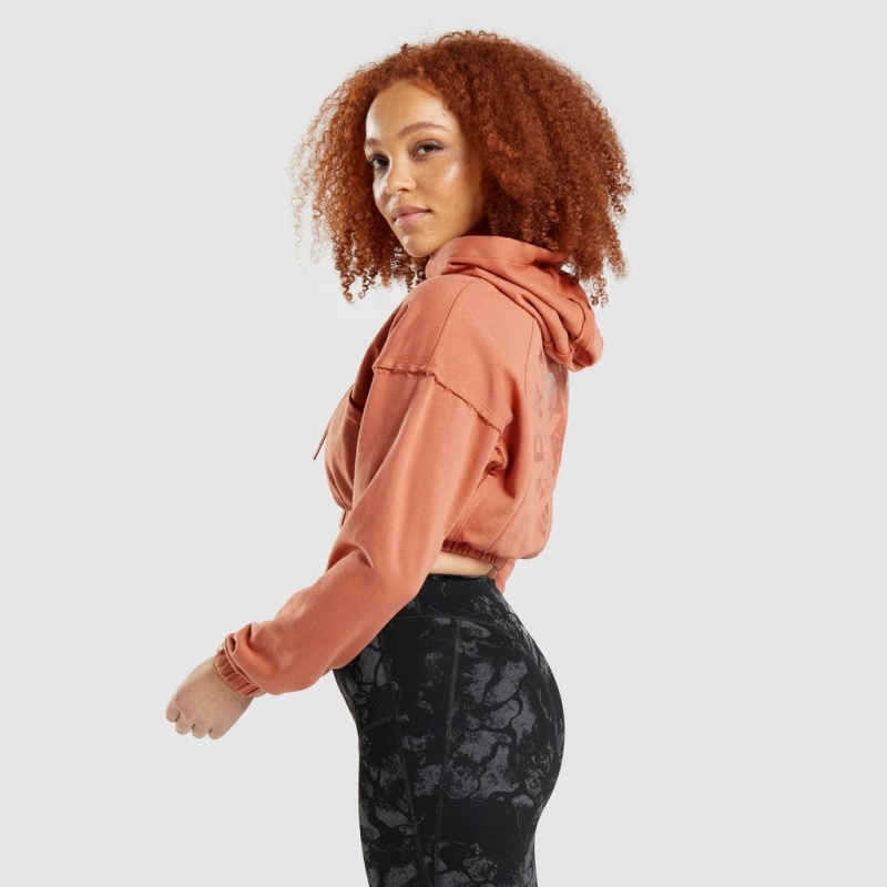 Sudadera con Capucha Gymshark KK Fit Zip-Up Cropped Naranjas | 76QGAHITJ