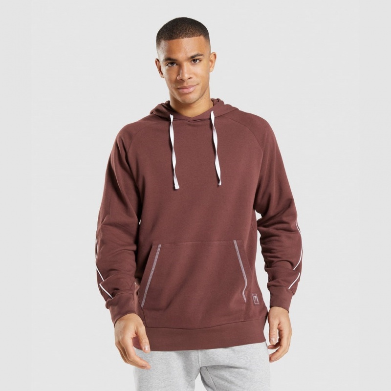 Sudadera con Capucha Gymshark Recess Marrones Blancas | 05PDQFTIS