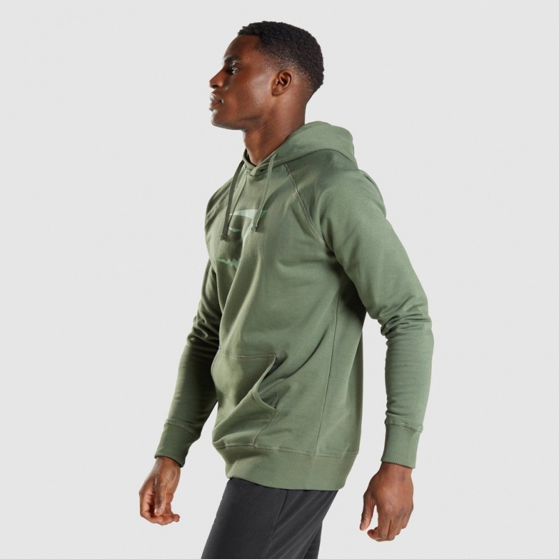 Sudadera con Capucha Gymshark Sharkhead Infill Verde | 10PJTRWKD