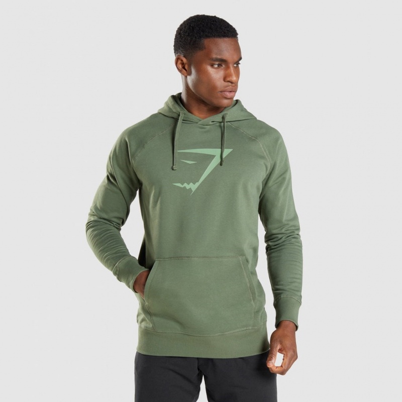 Sudadera con Capucha Gymshark Sharkhead Infill Verde | 10PJTRWKD