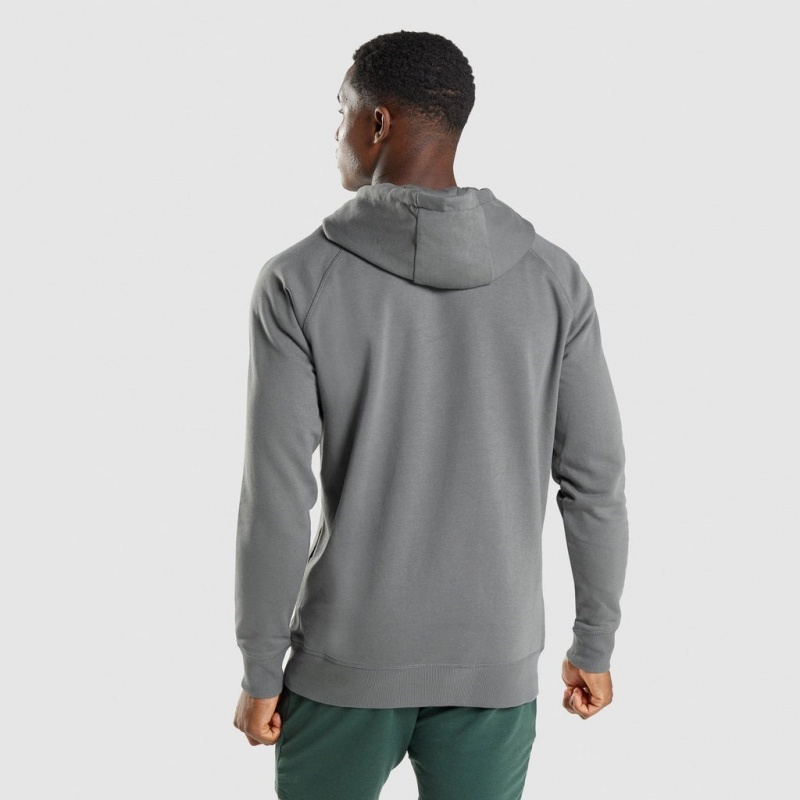 Sudadera con Capucha Gymshark Sharkhead Infill Charcoal | 04VQXNZEY
