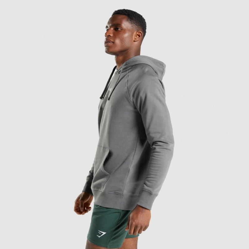 Sudadera con Capucha Gymshark Sharkhead Infill Charcoal | 04VQXNZEY