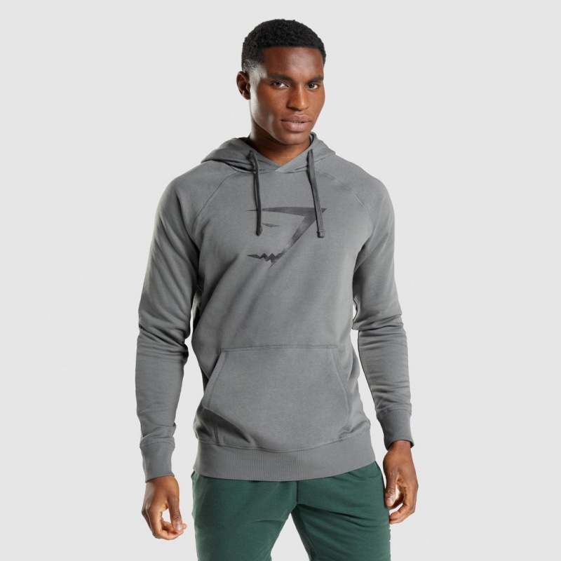 Sudadera con Capucha Gymshark Sharkhead Infill Charcoal | 04VQXNZEY