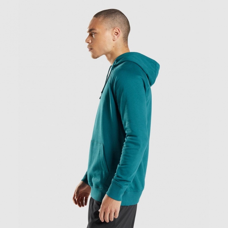 Sudadera con Capucha Gymshark Sharkhead Infill Teal | 46WQGRCEF