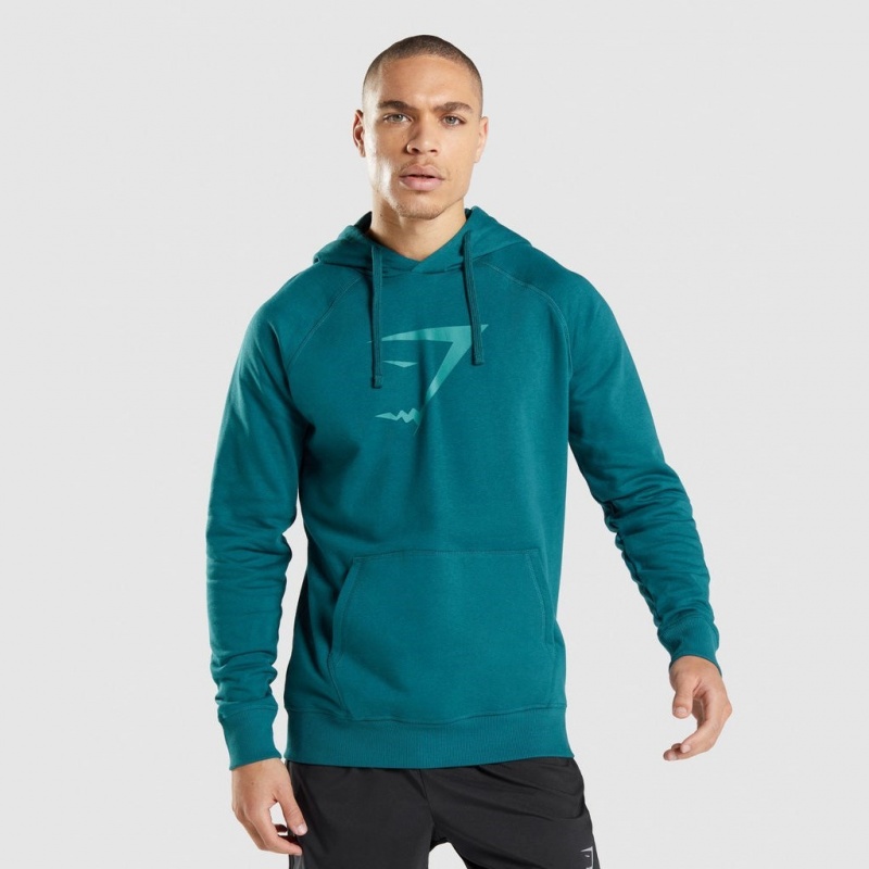 Sudadera con Capucha Gymshark Sharkhead Infill Teal | 46WQGRCEF