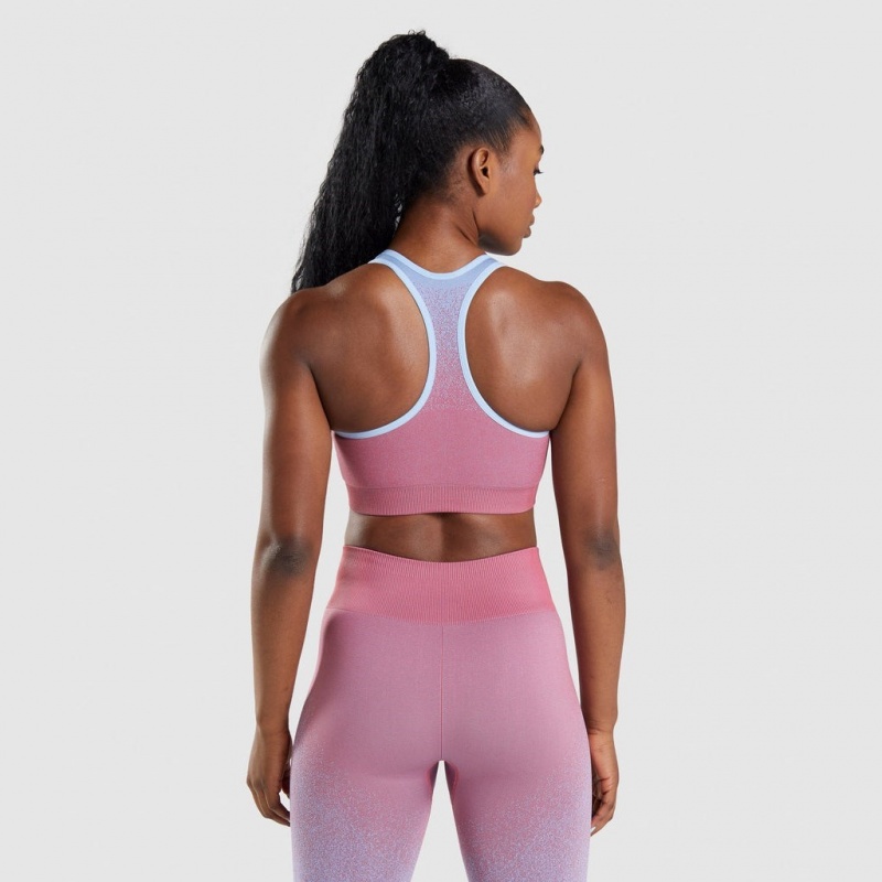 Sujetador Deportivo Gymshark Adapt Ombre Seamless Rosas Rosas Azules Claro | 60BSANROW