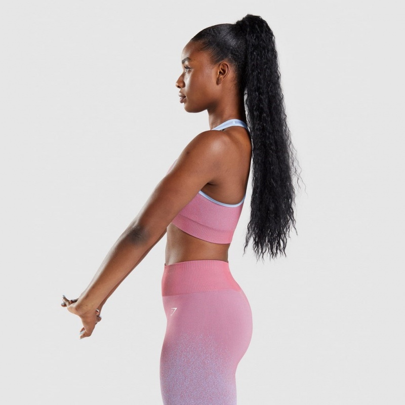 Sujetador Deportivo Gymshark Adapt Ombre Seamless Rosas Rosas Azules Claro | 60BSANROW