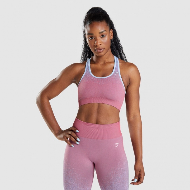 Sujetador Deportivo Gymshark Adapt Ombre Seamless Rosas Rosas Azules Claro | 60BSANROW