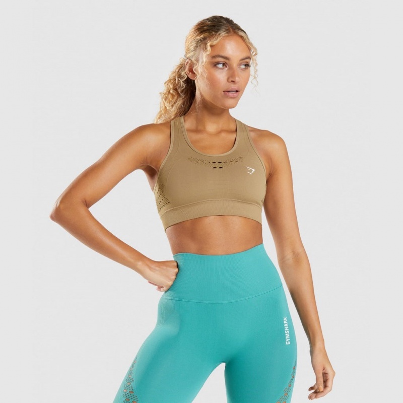Sujetador Deportivo Gymshark Energy Seamless Marrones | 29WLVSQTN