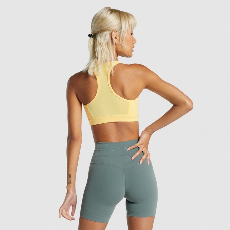 Sujetador Deportivo Gymshark Whitney Mesh Pollen | 51FZEUBCP